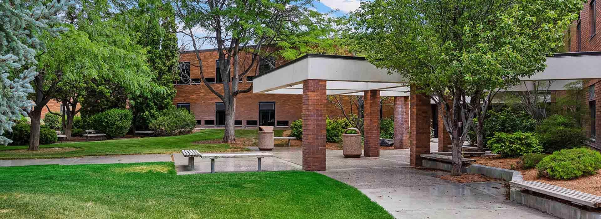 Football France League